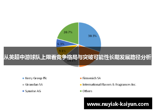 从英超中游球队上限看竞争格局与突破可能性长期发展路径分析
