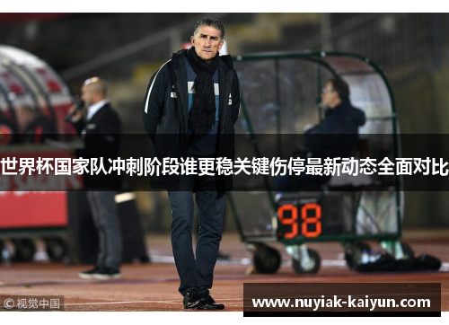 世界杯国家队冲刺阶段谁更稳关键伤停最新动态全面对比